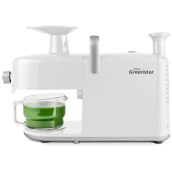 Centrifuga de Frutas em Aço Inoxidável com Duplo Mastigador, Caixa de Limpeza Fácil, Ferramenta de Limpeza de Tela e Jarro de Vidro, 110V 170W,