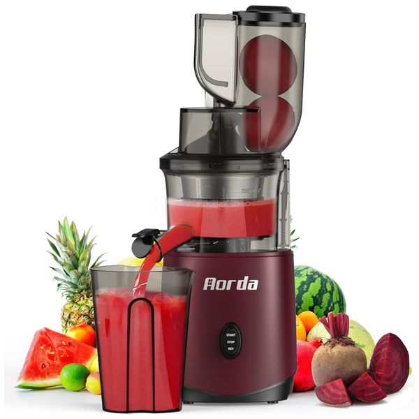 Centrifuga de Frutas com Motor Silencioso, Proteção Contra Superaquecimento e Design Compacto, 110V 200W, Aorda, Vermelho