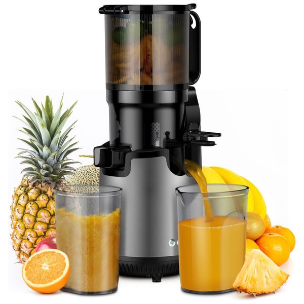 Centrifuga de Frutas de Mastigação Lenta com Calha de Alimentação Grande e Processamento de Frutas Inteiras, 110V 250W, GDOR, Cinza