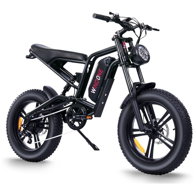 Bicicleta-Eletrica-para-Adultos-Imagem-0