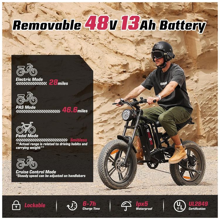 Bicicleta-Eletrica-para-Adultos-Imagem-2