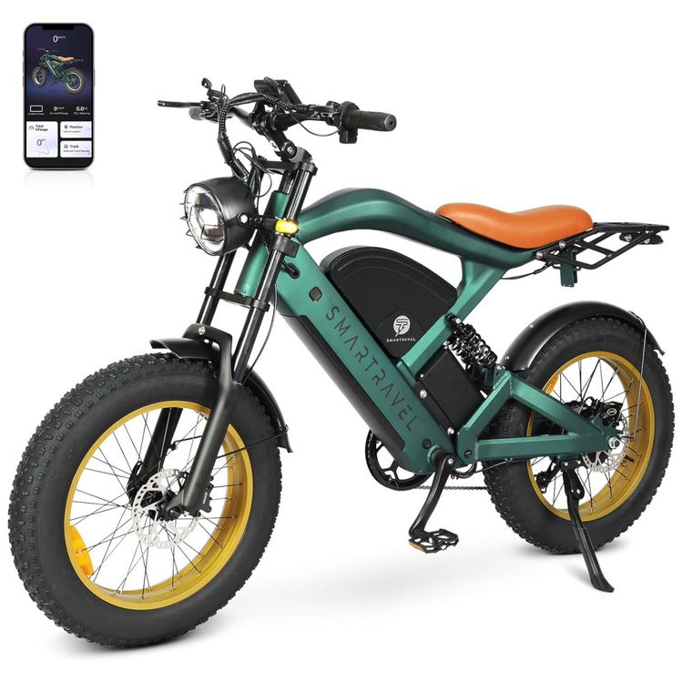 Bicicleta-Eletrica-para-Adultos-Imagem-0