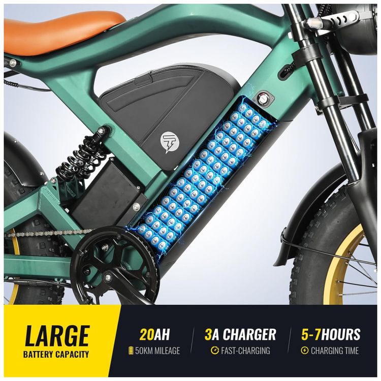 Bicicleta-Eletrica-para-Adultos-Imagem-2