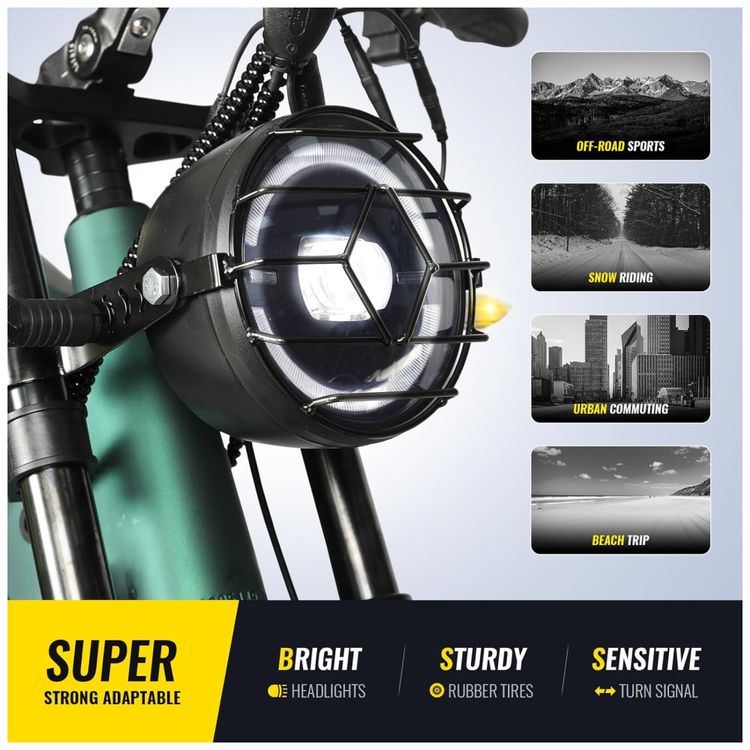 Bicicleta-Eletrica-para-Adultos-Imagem-5