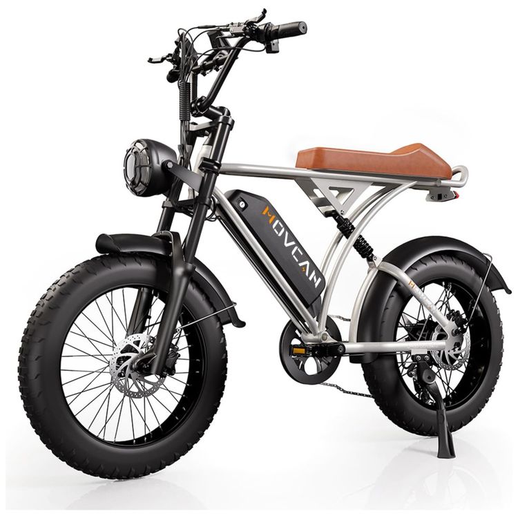 Bicicleta-Eletrica-para-Adultos-Imagem-0