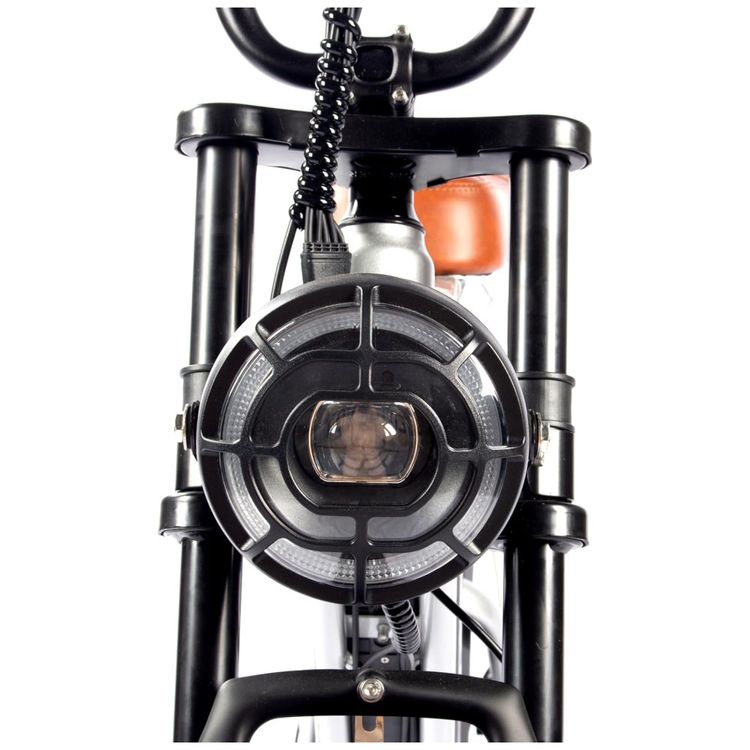 Bicicleta-Eletrica-para-Adultos-Imagem-3