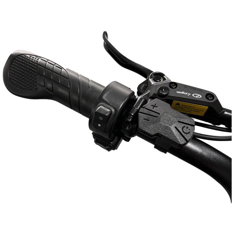Bicicleta-Eletrica-para-Adultos-Imagem-5