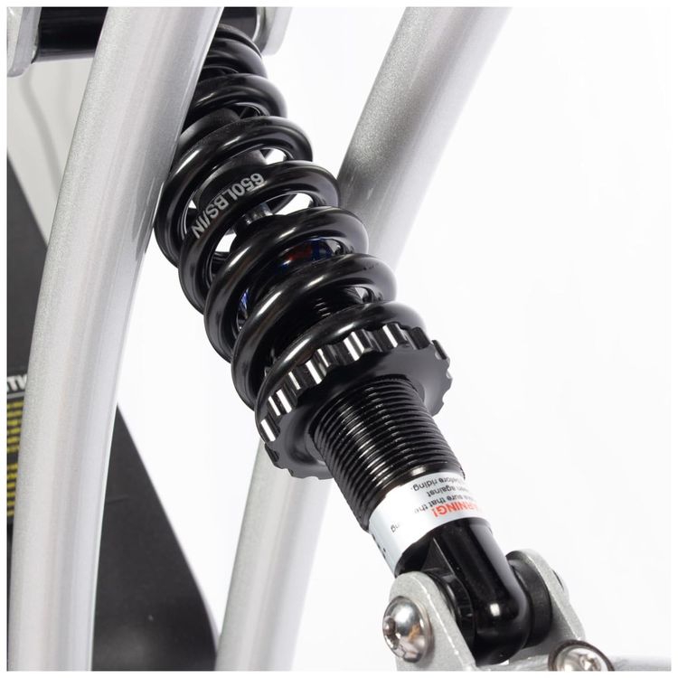 Bicicleta-Eletrica-para-Adultos-Imagem-6