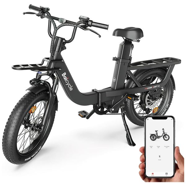 Bicicleta-Eletrica-para-Adultos-Imagem-0