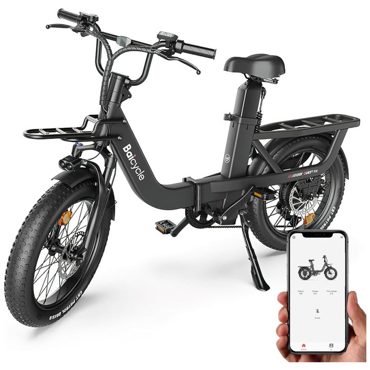 Bicicleta-Eletrica-para-Adultos-Imagem-0
