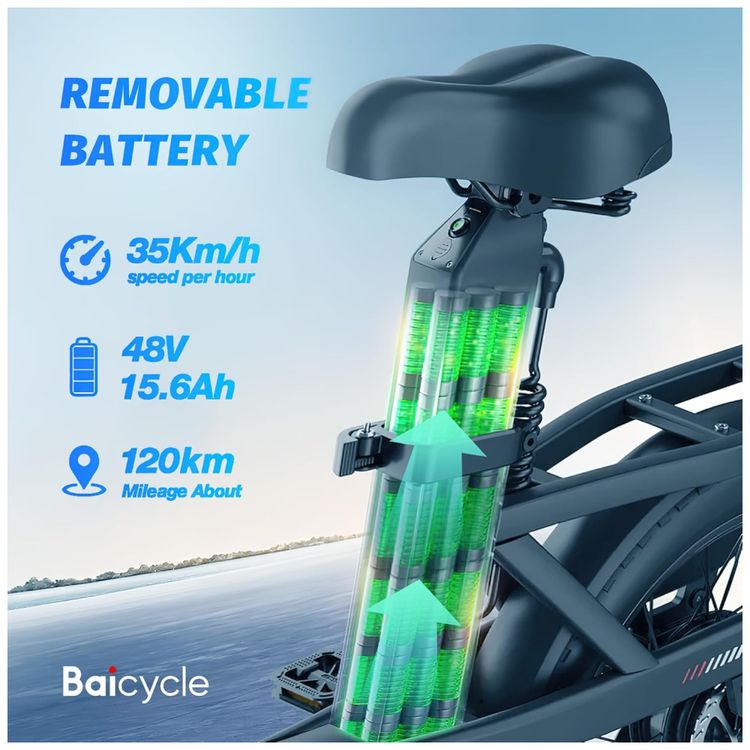 Bicicleta-Eletrica-para-Adultos-Imagem-3