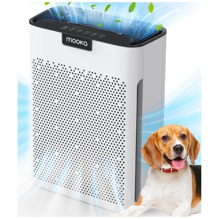 Purificador-de-Ar-para-Ambientes-ate-185m²-com-Filtro-H13-Imagem-0