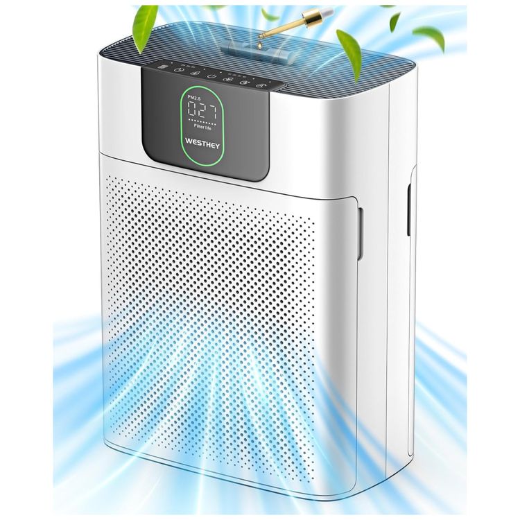 Purificador-de-Ar-para-Ambientes-ate-170m²-com-2-Filtros-Imagem-0