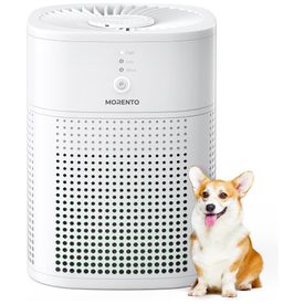 Purificador-de-Ar-para-Ambientes-ate-10m²-com-Filtragem-de-Imagem-0