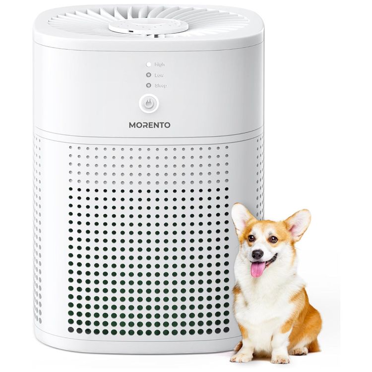 Purificador-de-Ar-para-Ambientes-ate-10m²-com-Filtragem-de-Imagem-0