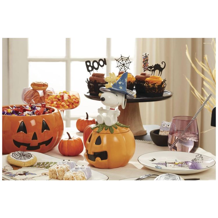 Conjunto-de-Pratos-Decorativos-com-4-Pecas-Tema-de-Snoopy-Imagem-7