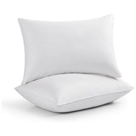 Conjunto-de-Travesseiros-de-Penas-de-Ganso-Tamanho-King-Imagem-0