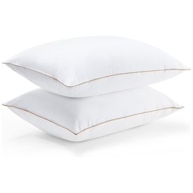 Conjunto-de-Travesseiros-Tamanho-Padrao-com-2-Pecas-e-Capa-Imagem-0