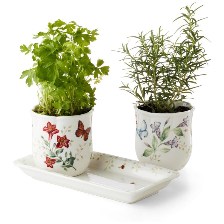 Conjunto-de-Potes-e-Bandeja-para-Vasos-de-Ervas-Organize-Imagem-4