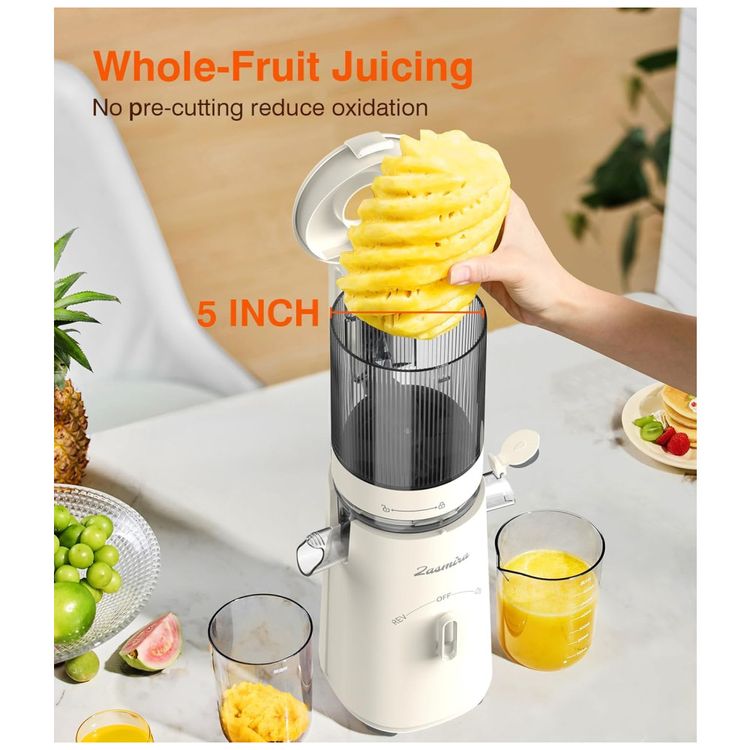 Espremedor-de-Sucos-a-Frio-Maquinas-de-Suco-de-Mastigacao-Imagem-1