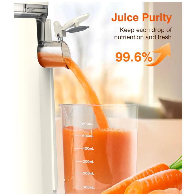 Espremedor-de-Sucos-a-Frio-Maquinas-de-Suco-de-Mastigacao-Imagem-2
