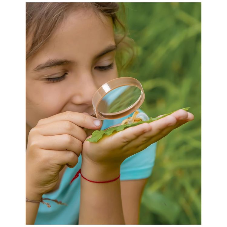 Kit-Educativo-de-Aventura-ROBUD-Pegador-de-Borboletas-com-Imagem-4