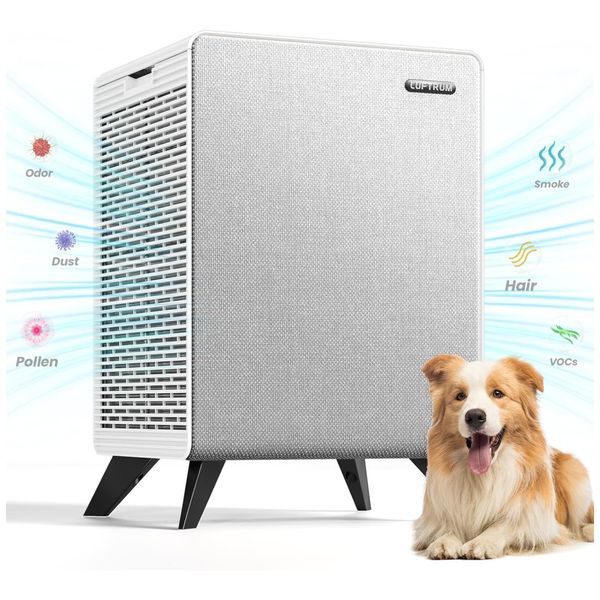 Purificador-de-Ar-para-Residencias-Grandes-de-ate-209-m²-Imagem-0