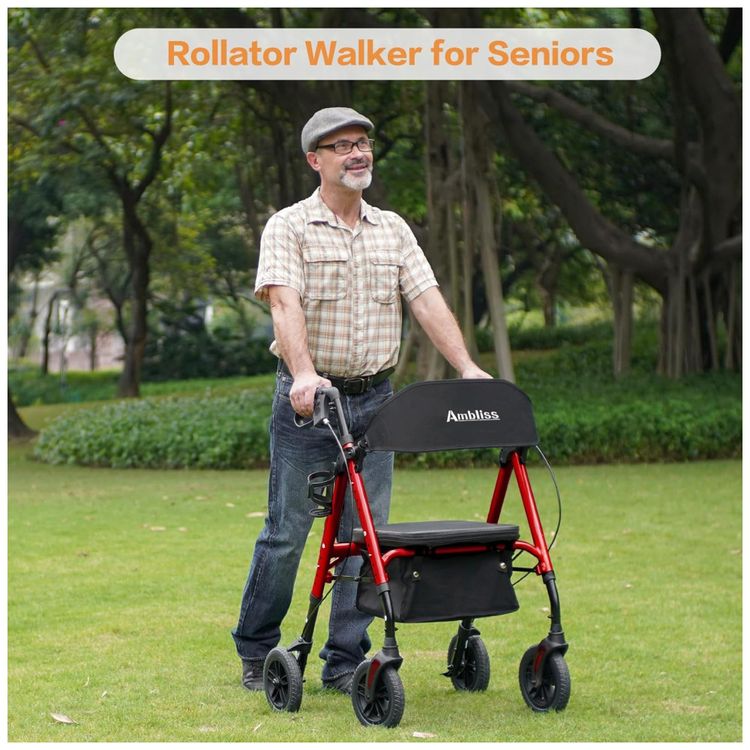 Cadeira-de-Rodas-Rollator-Ambliss-20cm-de-Rodas-136kg-Imagem-5
