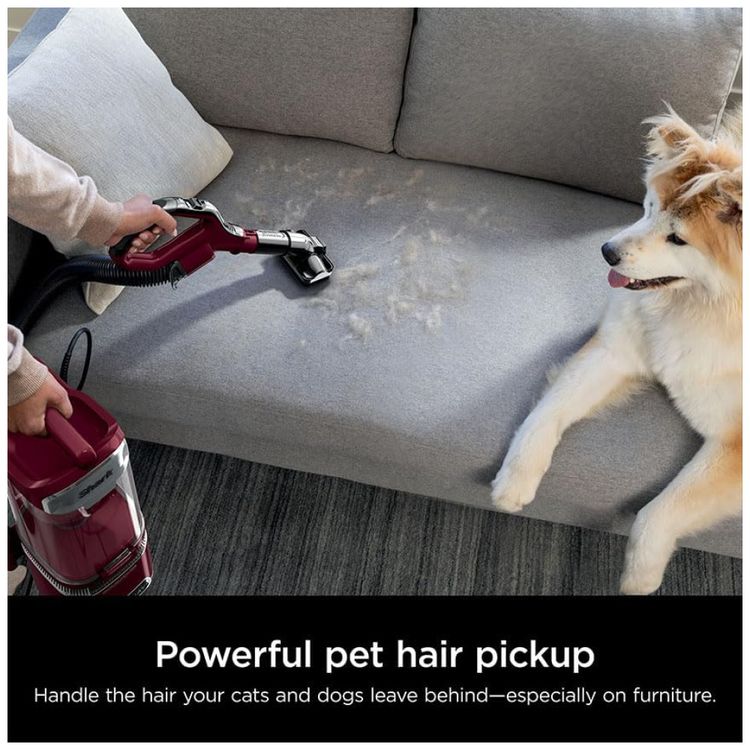 Aspirador-Vertical-Shark-DETECT-LiftAway-com-Tecnologia-Imagem-6