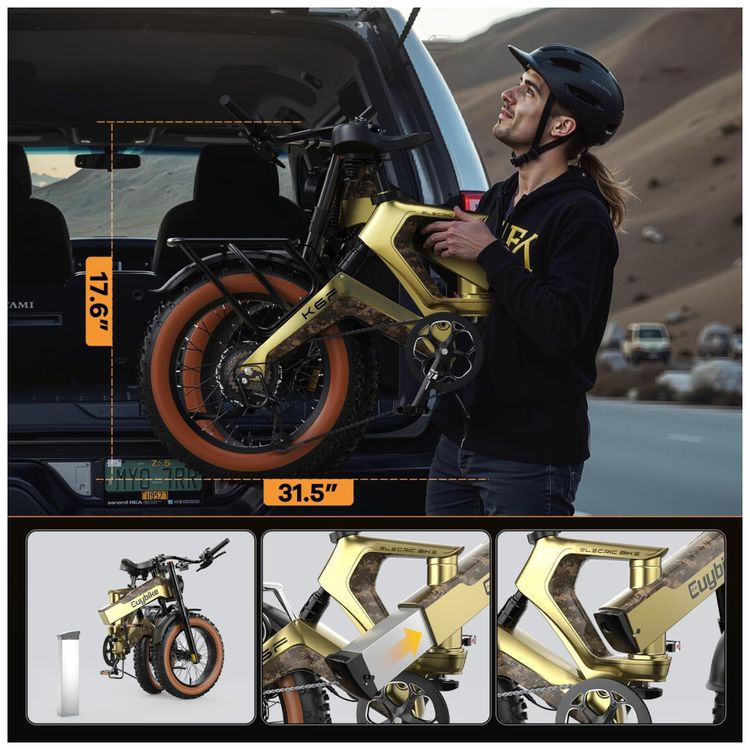 Bicicleta-Eletrica-para-Adultos-Motor-de-Pico-de-2000W-com-Imagem-8