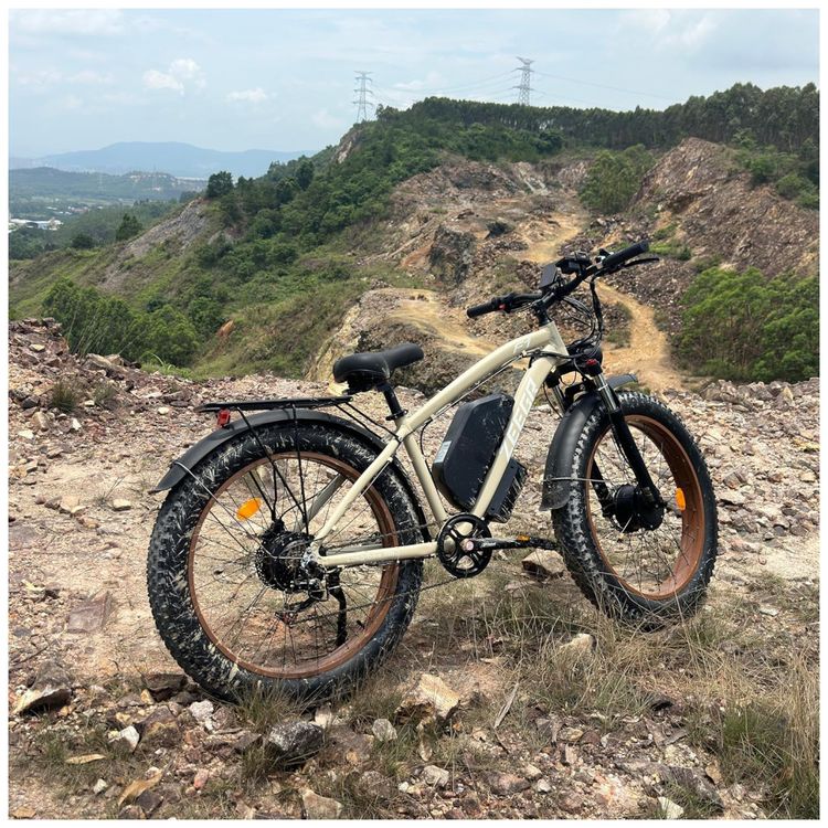 Bicicleta-Eletrica-para-Adultos-Dual-Motor-AWD-2000W-Pico-Imagem-1