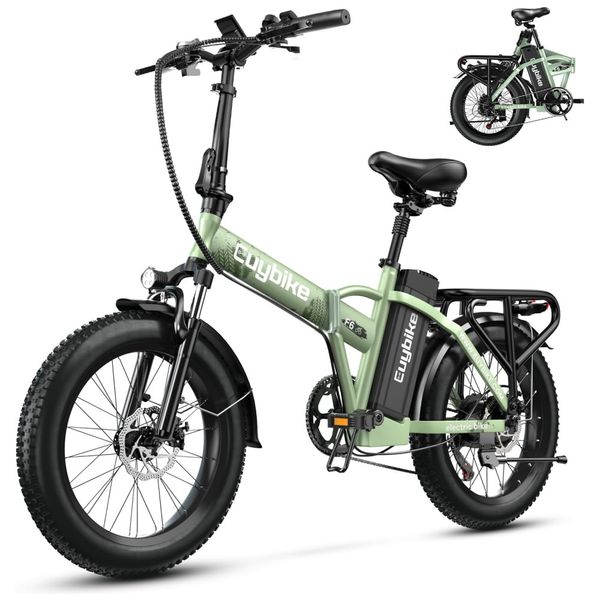 Bicicleta-Eletrica-Dobravel-1000W-Bateria-Removivel-de-48V-Imagem-0
