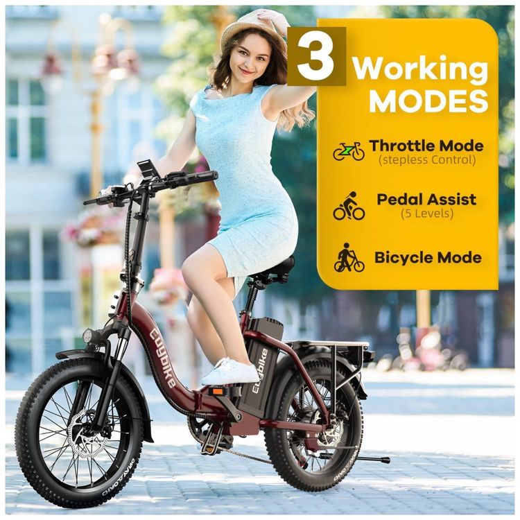 Bicicleta-Eletrica-Dobravel-1000W-Bateria-Removivel-de-48V-Imagem-6