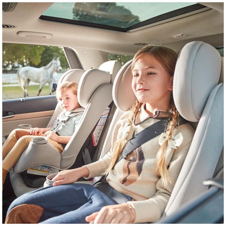 Cadeirinha-de-Carro-Conversivel-Maxi-COSI-Pria-All-in-One-Imagem-13
