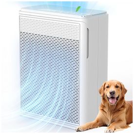 Purificador-de-Ar-Para-Casa-com-Animais-de-Estimacao-Imagem-0