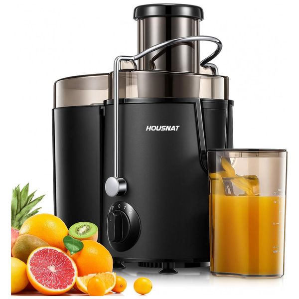 Extrator-de-Suco-HOUSNAT-para-Frutas-e-Vegetais-Inteiros-Imagem-0